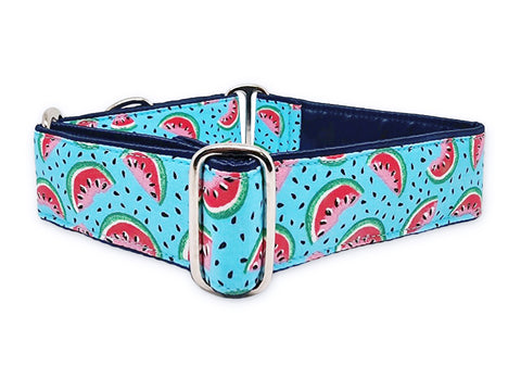 Watermelon dog collar, martingale collar for dogs