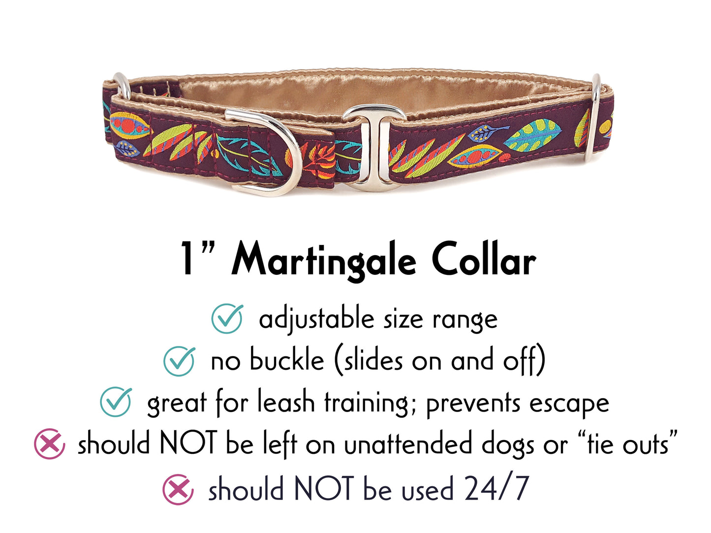 1 Inch Wide Shenandoah Martingale Dog Collar by The Hound Haberdashery