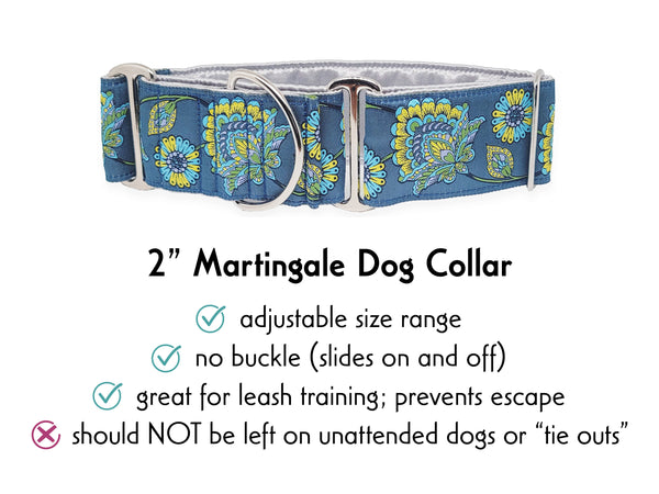 Kensington  - Martingale Dog Collar or Buckle Dog Collar - 2" Width