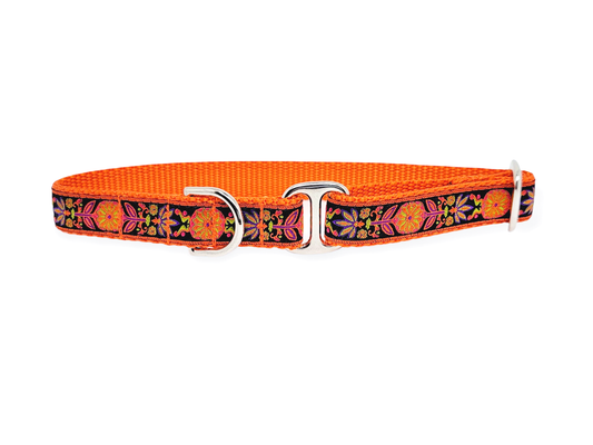 3/4 Inch Orange Black Pinwheel Dog Tag Collar by The Hound Haberdashery