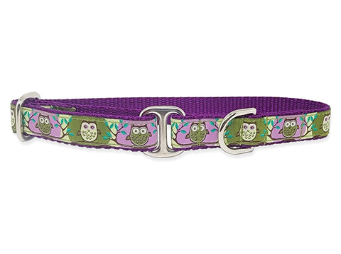 Tag Collar - Owls in Purple & Green - 3/4 Inch Width