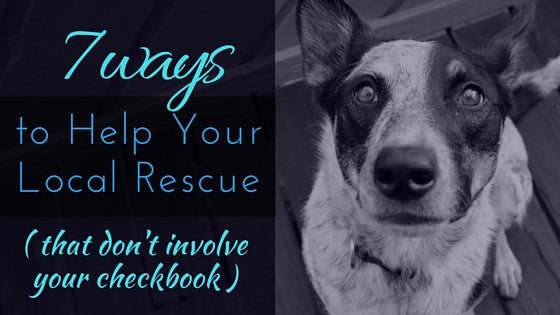7 Ways to Help Your Local Rescue (That Don't Involve Your Checkbook)