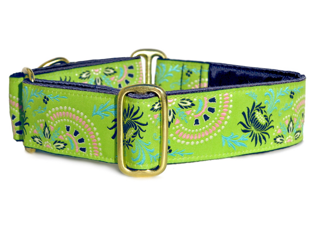 Lime green dog collar online