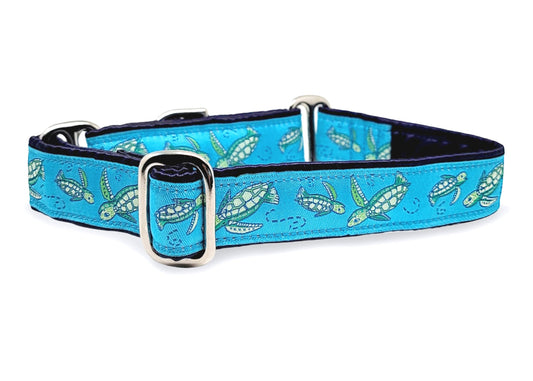 1 Inch Wide Sea Turtles Dog Collar by The Hound Haberdashery