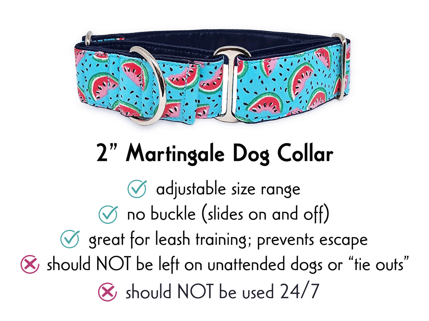 2 Inch Wide Watermelon Slices Martingale Dog Collar by The Hound Haberdashery