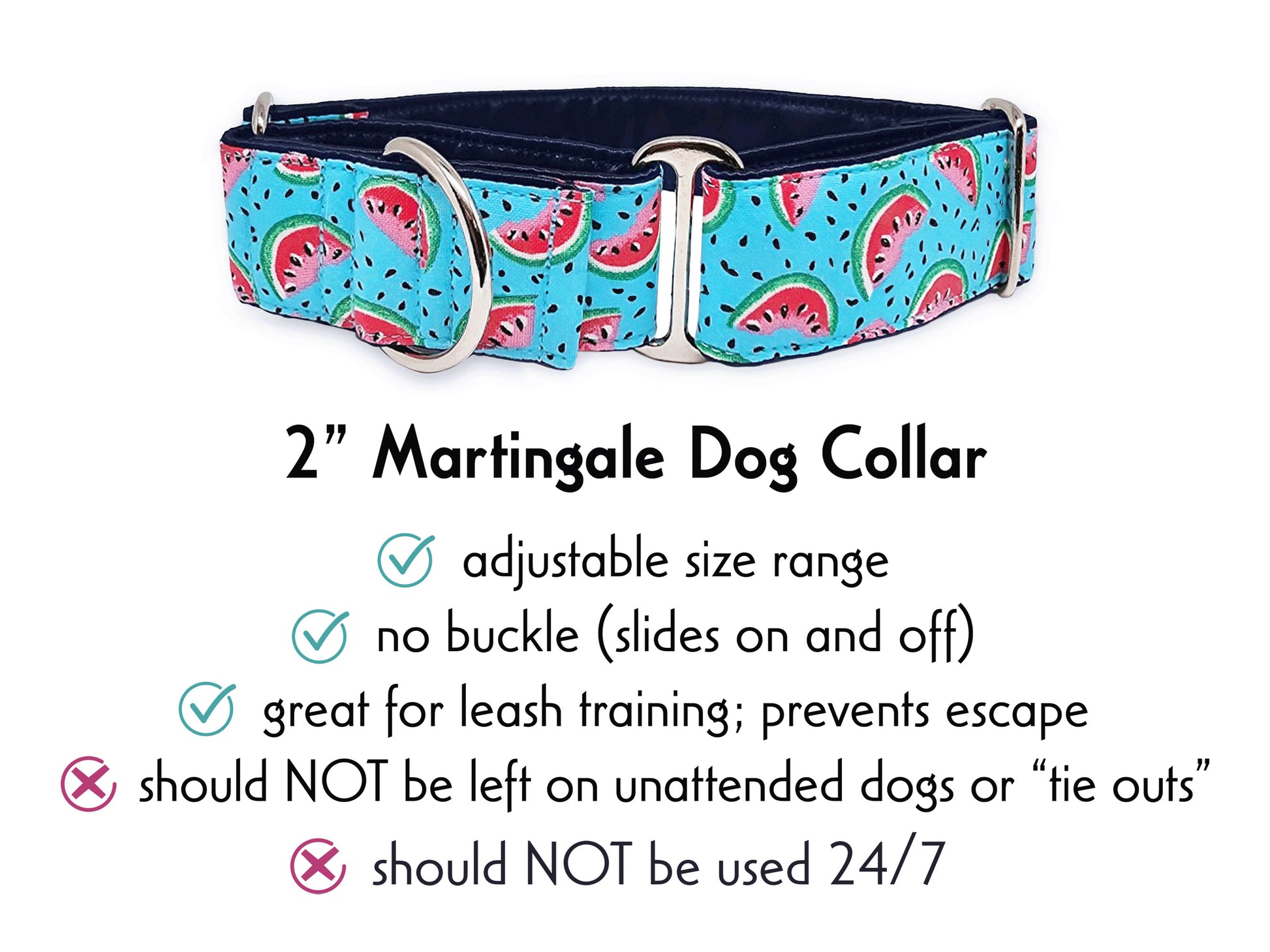 2 Inch Wide Watermelon Slices Martingale Dog Collar by The Hound Haberdashery