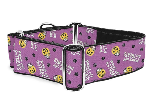 2 Inch Wide Purple Halloween Paws Off My Treats Martingale Dog Collar by The Hound Haberdashery