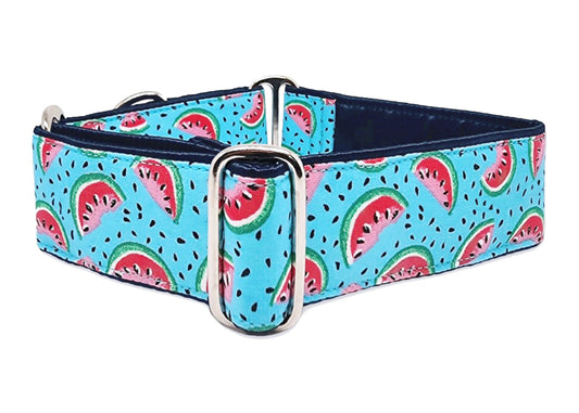 2 Inch Wide Watermelon Slices Dog Collar by The Hound Haberdashery