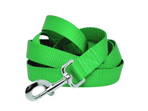 Candy Apple Green plain nylon dog leash