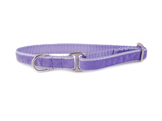 Lavender Velvet Dog Tag Collar by The Hound Haberdashery