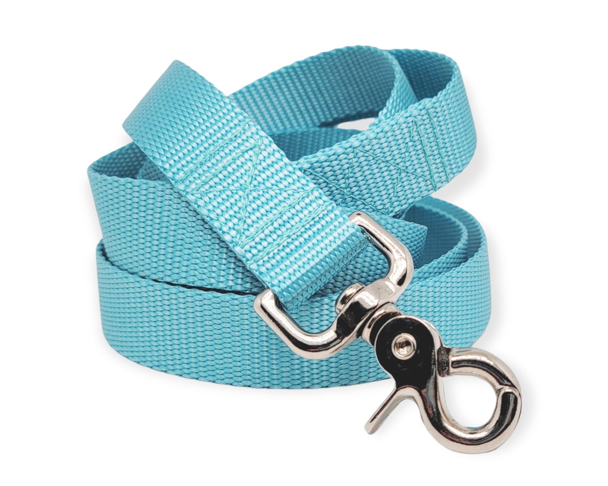 Aqua Blue Nylon Dog Leash by The Hound Haberdashery