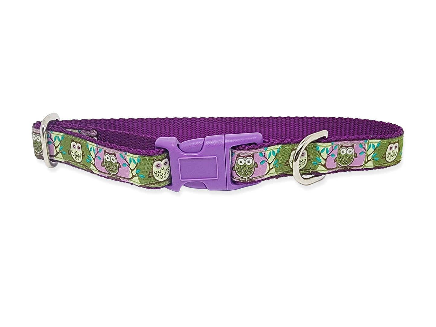 3/4 Inch Purple, Green Owls Buckle Dog Tag Collar by The Hound Haberdashery