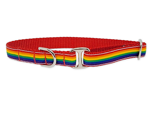 3/4 Inch Rainbow Dog Tag Collar by The Hound Haberdashery