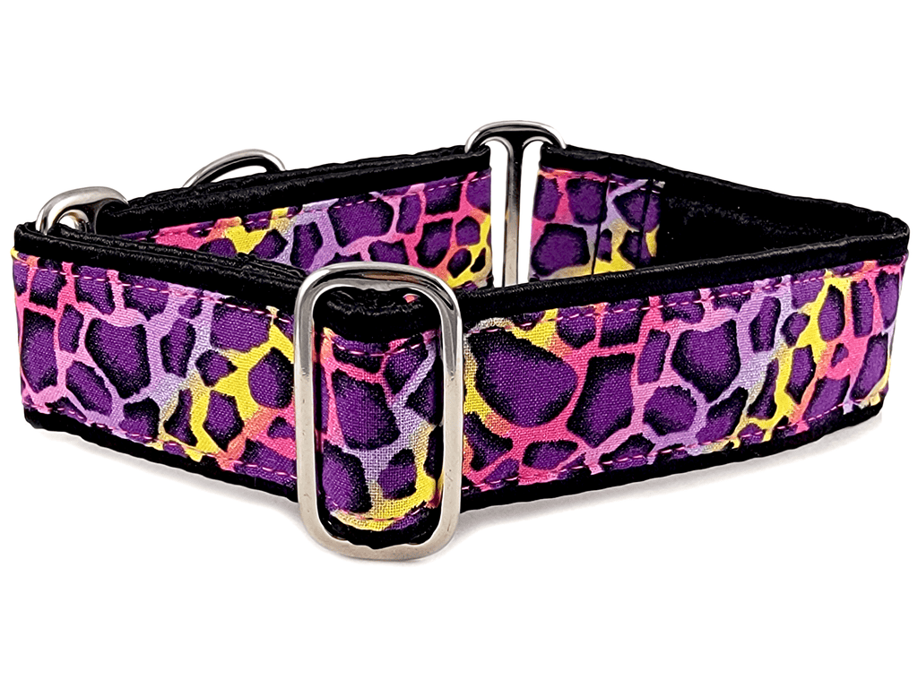 The Hound Haberdashery Premade & Ready to Ship: 1.5" Prehistoric Purple Martingale Collar (Size Med)