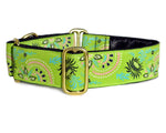 Load image into Gallery viewer, Flower Burst in Lime Green - Martingale Dog Collar or Buckle Dog Collar - 1.5&quot; Width - The Hound Haberdashery
