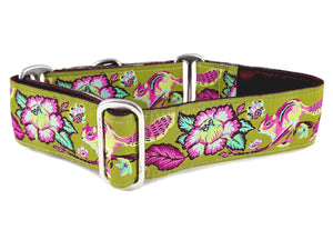 The Hound Haberdashery Collar Cheery Chipmunk Jacquard in Olive - Martingale Dog Collar or Buckle Dog Collar - 1.5" Width