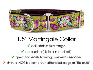 The Hound Haberdashery Collar Cheery Chipmunk Jacquard in Olive - Martingale Dog Collar or Buckle Dog Collar - 1.5" Width