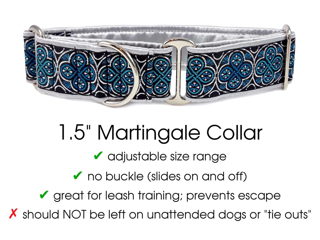 Silver collar hot sale for dogs