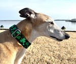 Load image into Gallery viewer, The Hound Haberdashery Collar Festive Shamrocks - Martingale Dog Collar or Buckle Dog Collar - 1.5&quot; Width
