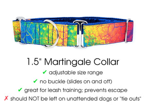 The Hound Haberdashery Collar 80s Retro Tie Dye - Martingale Dog Collar or Buckle Dog Collar - 1.5" Width