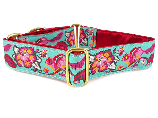 The Hound Haberdashery Collar Cheery Chipmunk Jacquard in Aqua [RED LINING] - Martingale Dog Collar or Buckle Dog Collar - 1.5" Width