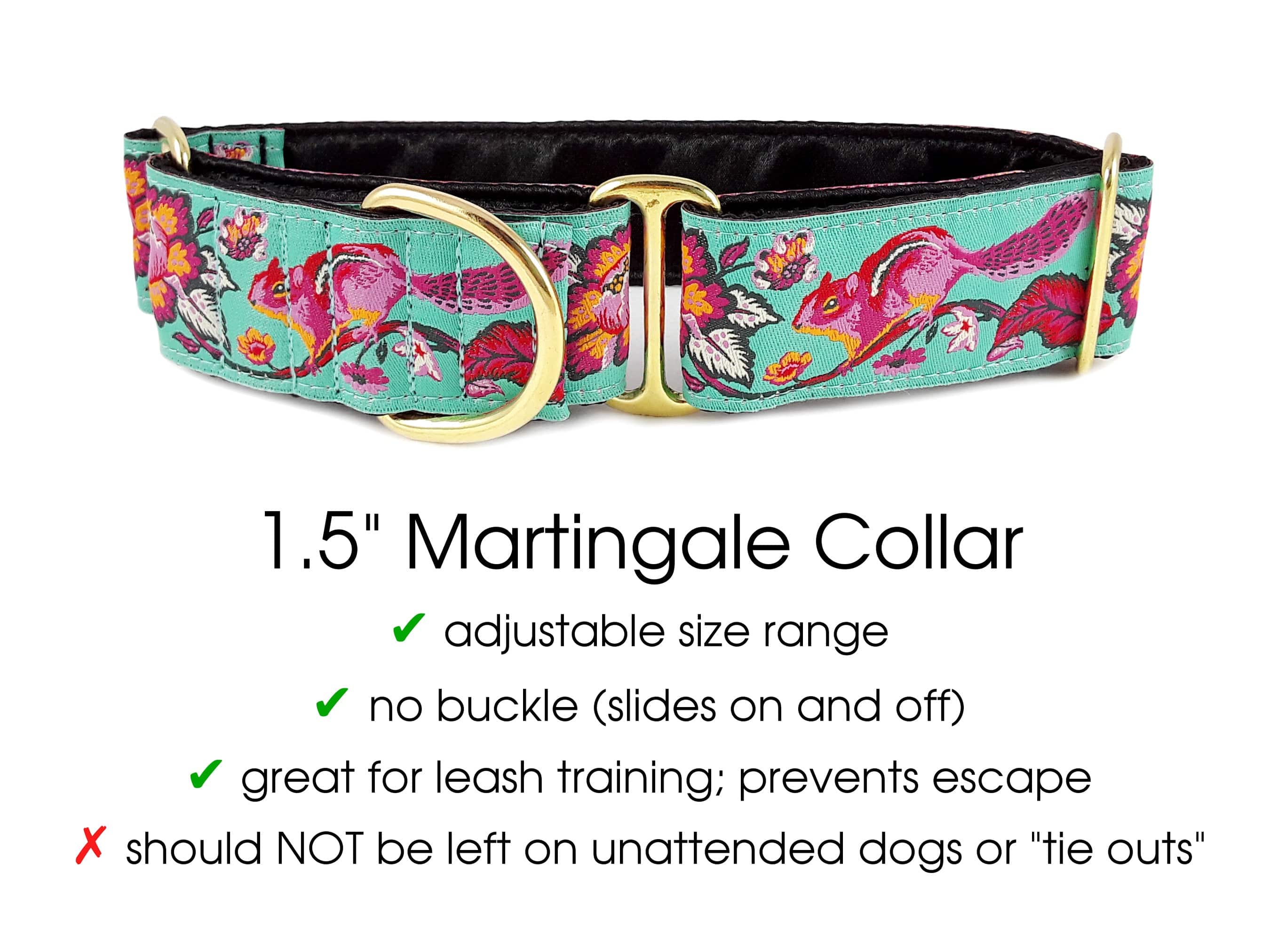 The Hound Haberdashery Collar Cheery Chipmunk Jacquard in Aqua [BLACK LINING] - Martingale Dog Collar or Buckle Dog Collar - 1.5" Width
