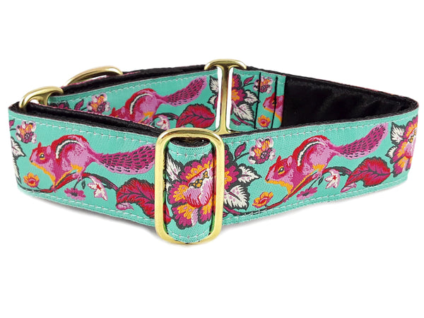 The Hound Haberdashery Collar Cheery Chipmunk Jacquard in Aqua [BLACK LINING] - Martingale Dog Collar or Buckle Dog Collar - 1.5" Width