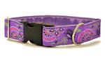 Load image into Gallery viewer, Flower Burst in Purple - Martingale Dog Collar or Buckle Dog Collar - 1.5&quot; Width - The Hound Haberdashery
