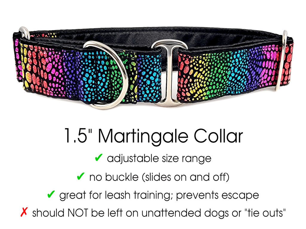 Sparkle dog best sale collars and leashes