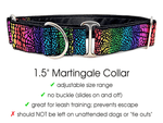 Load image into Gallery viewer, The Hound Haberdashery Collar Rainbow Sparkle - Martingale Dog Collar or Buckle Dog Collar - 1.5&quot; Width
