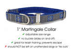 Load image into Gallery viewer, The Hound Haberdashery Collar Corinth - Martingale Dog Collar or Buckle Dog Collar - 1&quot; Width
