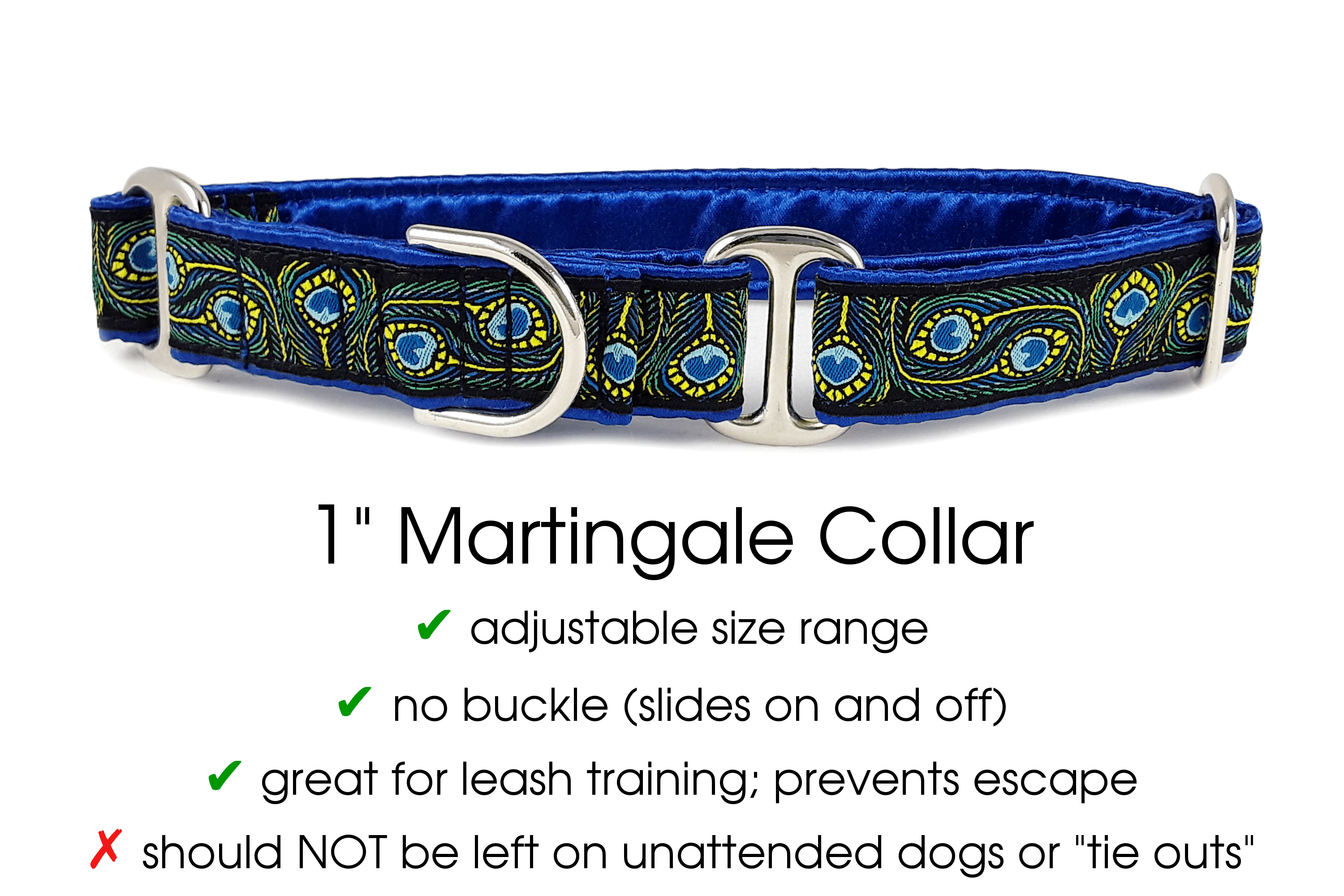 Peacock Plumes - Martingale Dog Collar or Buckle Dog Collar - 1" Width - The Hound Haberdashery