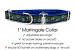 Load image into Gallery viewer, Peacock Plumes - Martingale Dog Collar or Buckle Dog Collar - 1&quot; Width - The Hound Haberdashery
