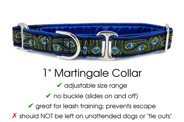 Peacock Plumes - Martingale Dog Collar or Buckle Dog Collar - 1" Width - The Hound Haberdashery