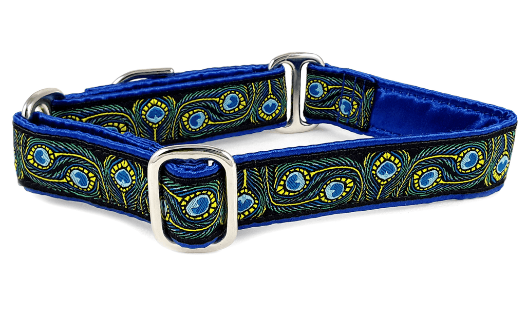 The Hound Haberdashery Collar Peacock - Martingale Dog Collar or Buckle Dog Collar - 1" Width
