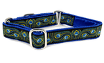 Load image into Gallery viewer, The Hound Haberdashery Collar Peacock - Martingale Dog Collar or Buckle Dog Collar - 1&quot; Width

