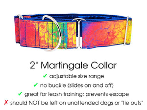 The Hound Haberdashery Collar 80s Retro Tie Dye - Martingale Dog Collar or Buckle Dog Collar - 2" Width