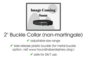 The Hound Haberdashery Collar Paisley Squares in Navy & Pastels - Martingale Dog Collar or Buckle Dog Collar - 2" Width