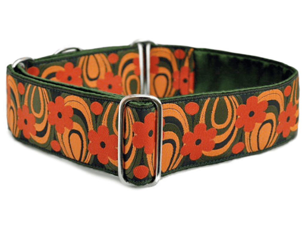 The Hound Haberdashery Collar Woodstock in Green & Orange - Martingale Dog Collar or Buckle Dog Collar - 2" Width