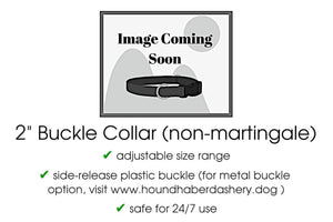 The Hound Haberdashery Collar Rainbow Sparkle - Martingale Dog Collar or Buckle Dog Collar - 2" Width