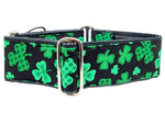 Load image into Gallery viewer, The Hound Haberdashery Collar Festive Shamrocks - Martingale Dog Collar or Buckle Dog Collar - 2&quot; Width
