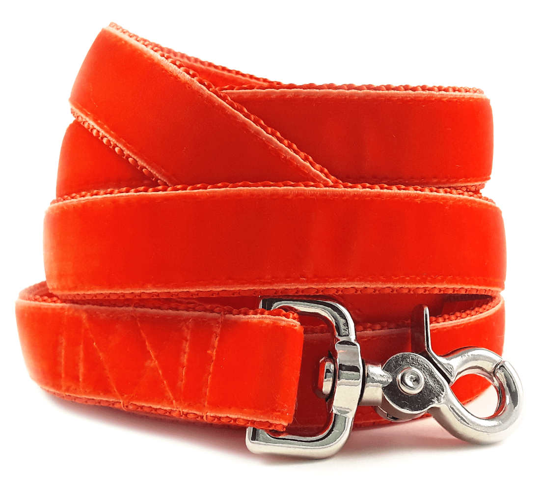 Orange Velvet Dog Leash - The Hound Haberdashery