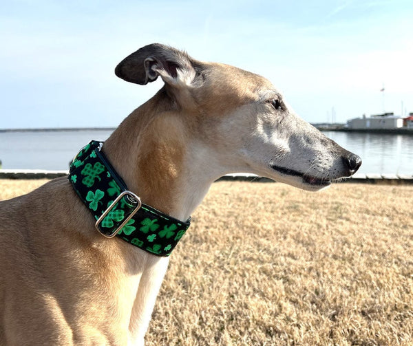 The Hound Haberdashery Collar Festive Shamrocks - Martingale Dog Collar or Buckle Dog Collar - 2" Width