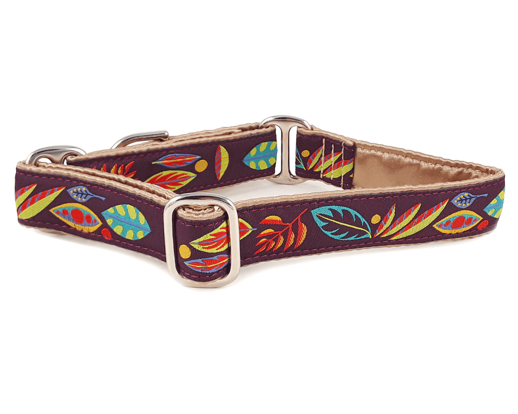 Shenandoah Jacquard - Martingale Dog Collar or Buckle Dog Collar - 1" Width - The Hound Haberdashery