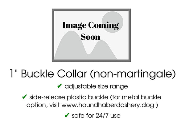 The Hound Haberdashery Collar Reverb in Blue & Green - Martingale Dog Collar or Buckle Dog Collar - 1" Width