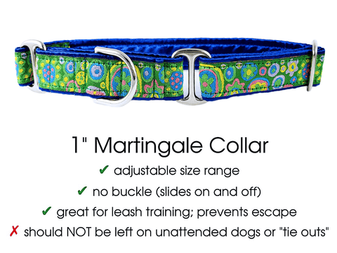 The Hound Haberdashery Premade Ready to Ship: 1" wide la paz  Martingale Collar (size small)