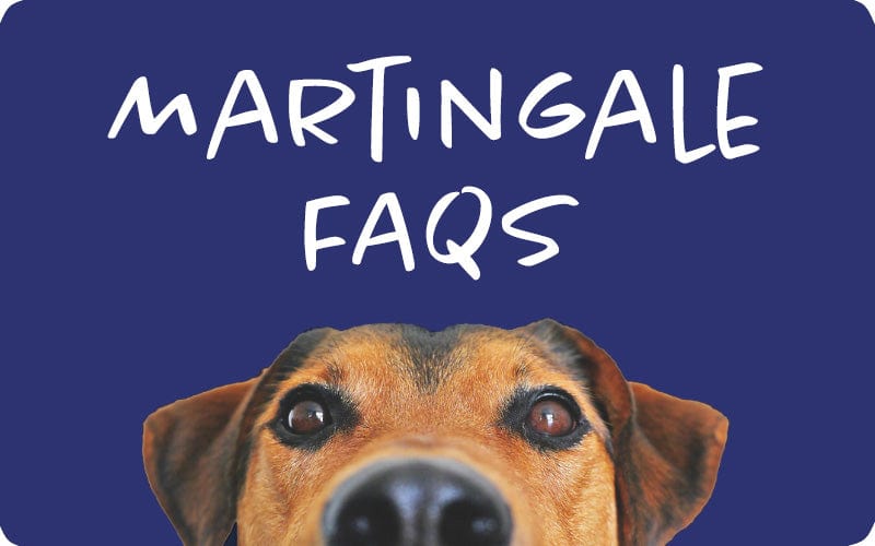 What is a Martingale Collar?